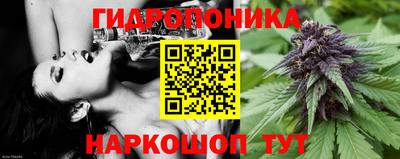 Альфа ПВП Краснознаменск