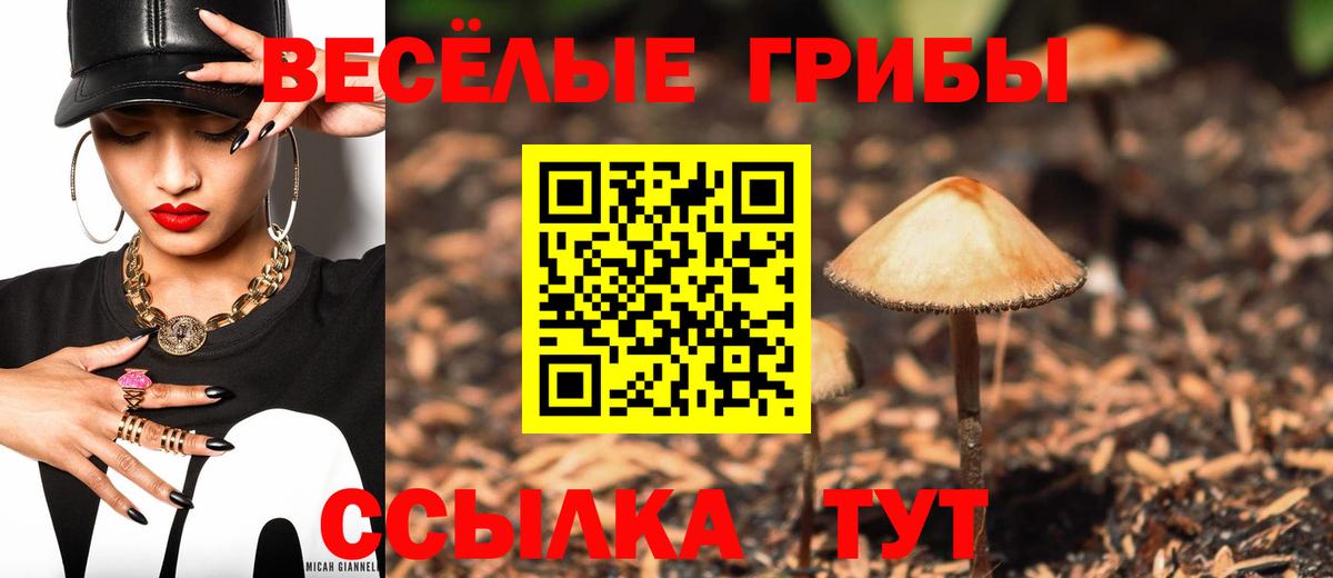 Усть-Илимск  Галлюциногенные грибы Psilocybe  Вход с VPN 