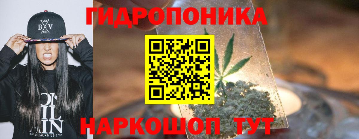 Бошки Шишки план Усть-Илимск